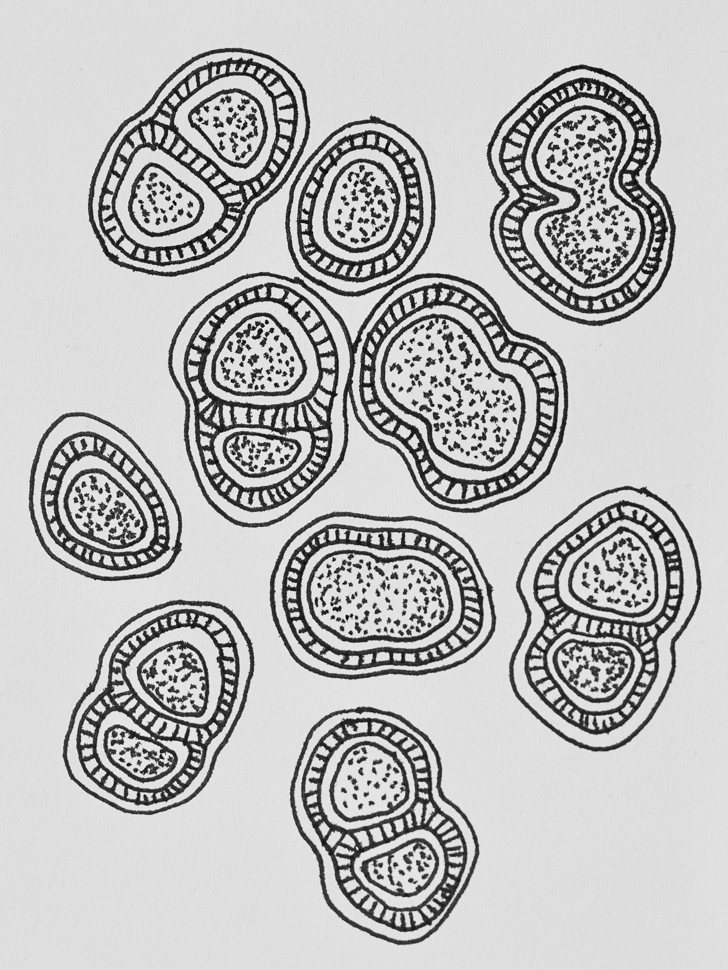 Sterling silver dangly microorganism earrings,